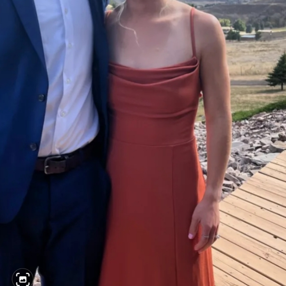 Birdy Grey Crepe Terracotta Ash Cowl Neck Dress